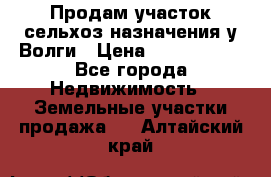 Продам участок сельхоз назначения у Волги › Цена ­ 3 000 000 - Все города Недвижимость » Земельные участки продажа   . Алтайский край